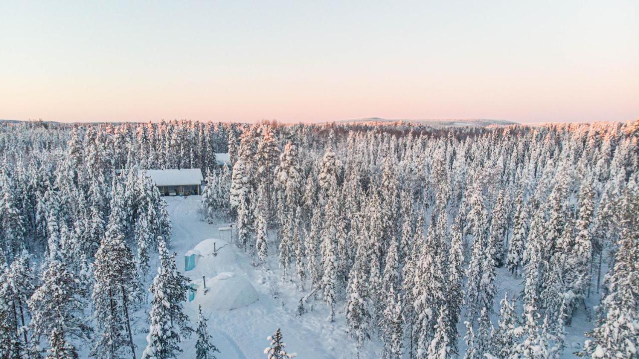 Aurora Igloo Fireplace-Heated Tents In A Secret Forest With Private Jacuzzi And Shared Sauna Bathroom And Dog Friendly Rovaniemi Exterior foto