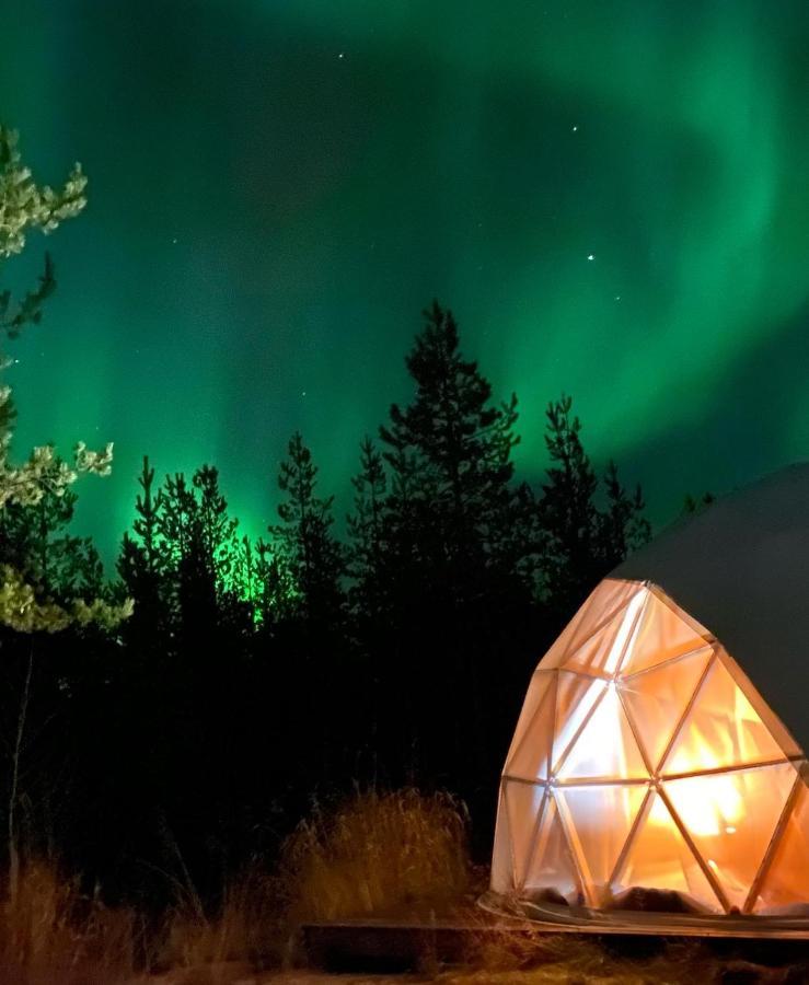 Aurora Igloo Fireplace-Heated Tents In A Secret Forest With Private Jacuzzi And Shared Sauna Bathroom And Dog Friendly Rovaniemi Exterior foto