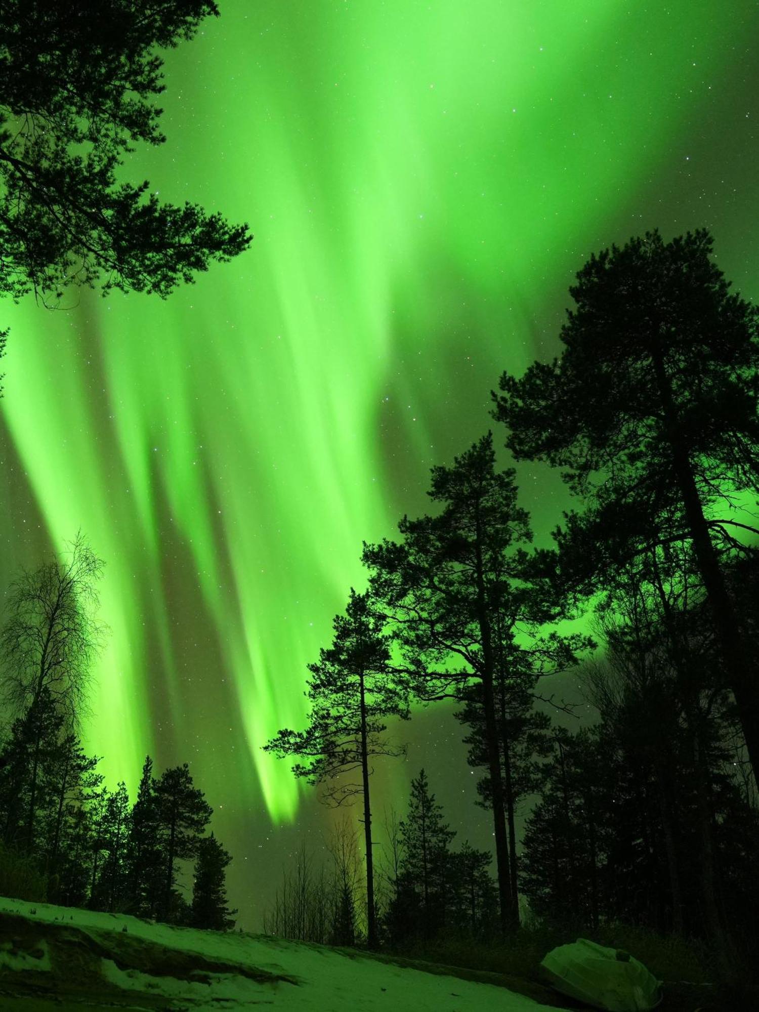 Aurora Igloo Fireplace-Heated Tents In A Secret Forest With Private Jacuzzi And Shared Sauna Bathroom And Dog Friendly Rovaniemi Exterior foto